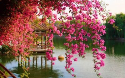 Mayıs Ayı Etkinlik Takvimi #Ajanda